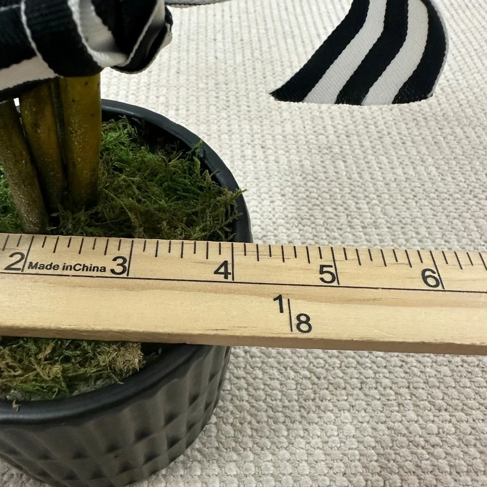 Preserved Boxwood Topiary 15in Ball in Black Ribbed Ceramic‎ Pot Striped Ribbon